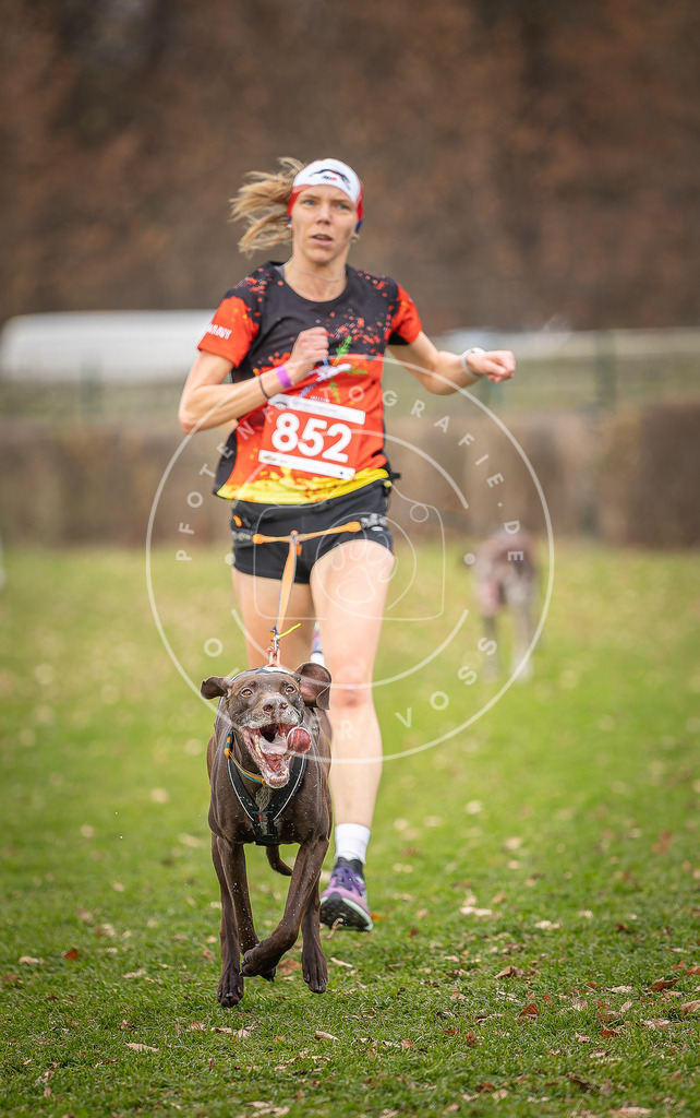CaniXpix_DV3A6378 | Hundefotografie, Tierfotograf, Pfotenfotografie, Fotoshooting Hund, Hunde Portrait, Hundesport, Hundeportraits, Heideshooting, Hunde, Sportfotograf, Hundefotograf, Turnierhundsport, THS,  - Realisiert mit Pictrs.com