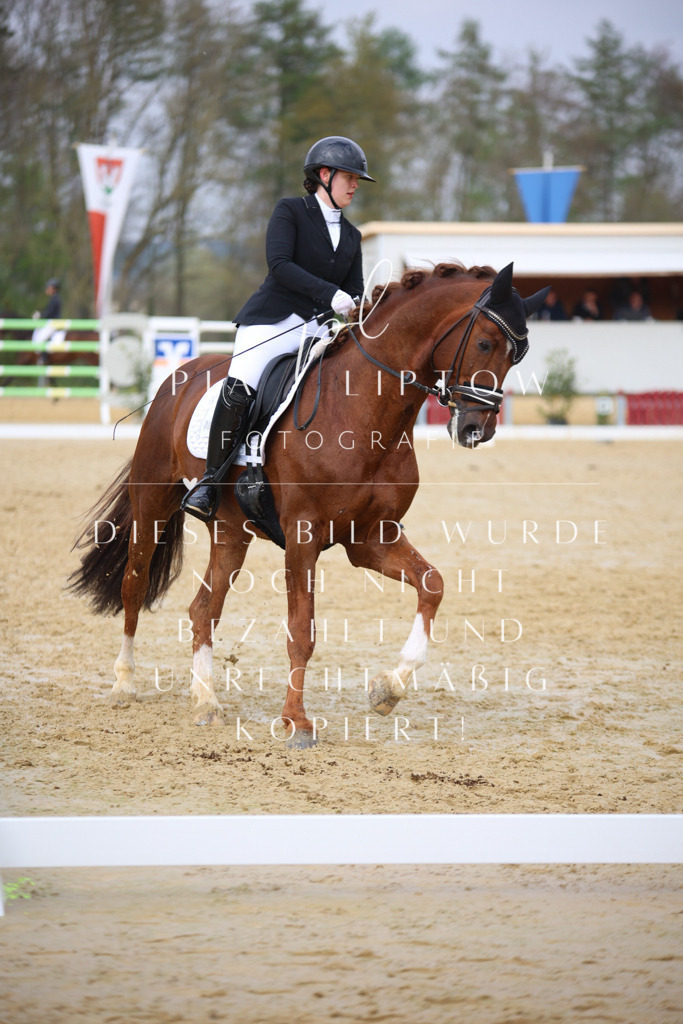 IMGT7658 | pl-fotografie