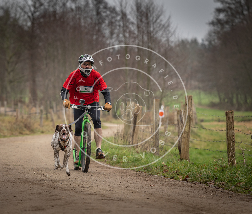 Pfotenfotografie_DV3A2530 | Hundefotografie, Tierfotograf, Pfotenfotografie, Fotoshooting Hund, Hunde Portrait, Hundesport, Hundeportraits, Heideshooting, Hunde, Sportfotograf, Hundefotograf, Turnierhundsport, THS,  - Realisiert mit Pictrs.com
