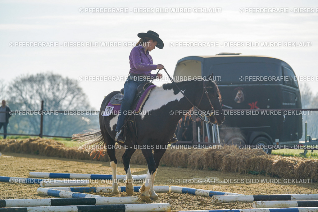 DSC00242 | Pferdegrafie