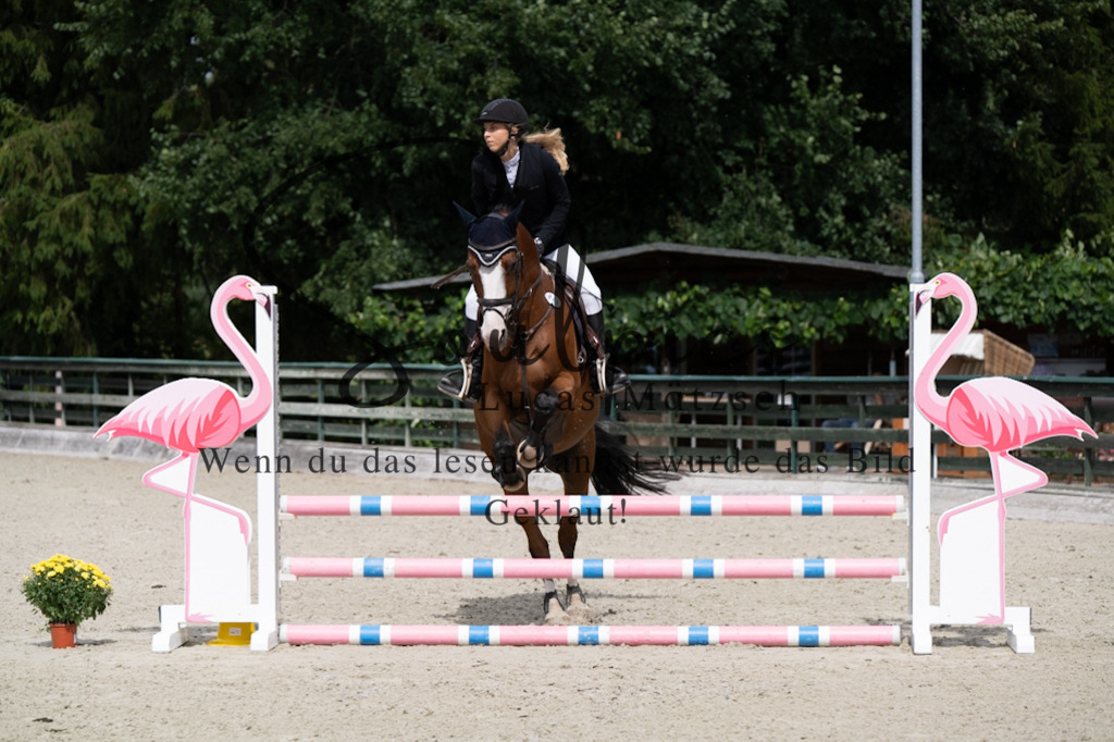 A7V07373 | Pferdefotograf