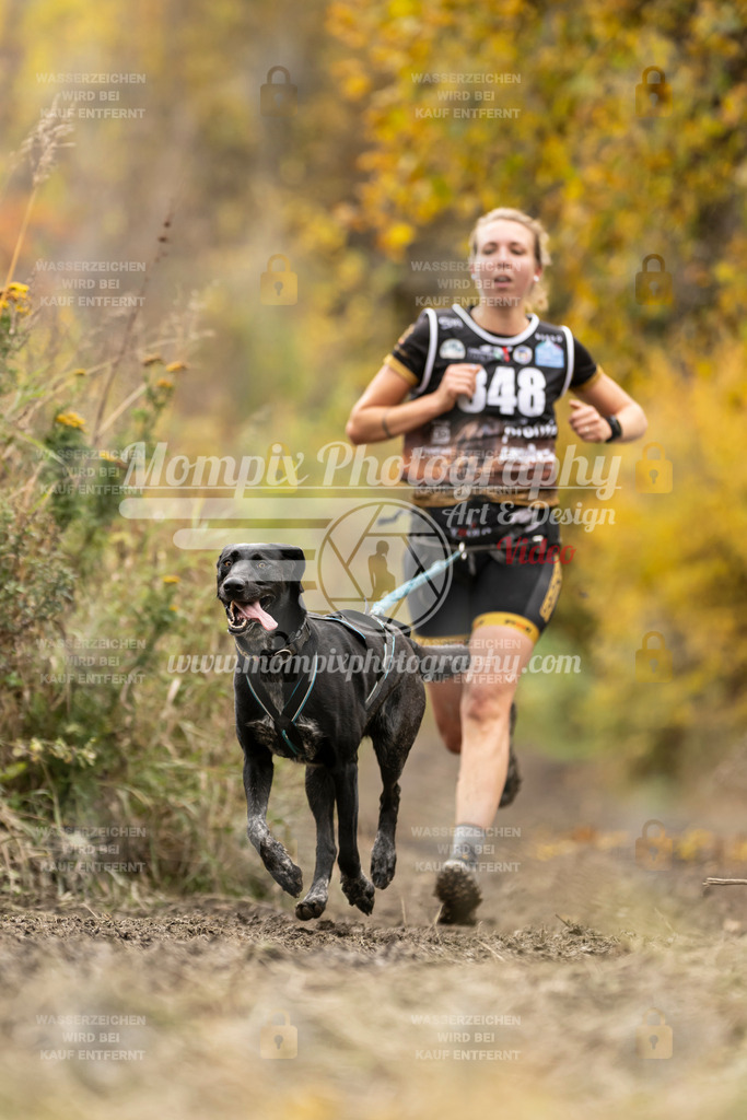 MompixPhotography_ICF_WC_2024_SA_Run_-255 | PayLife