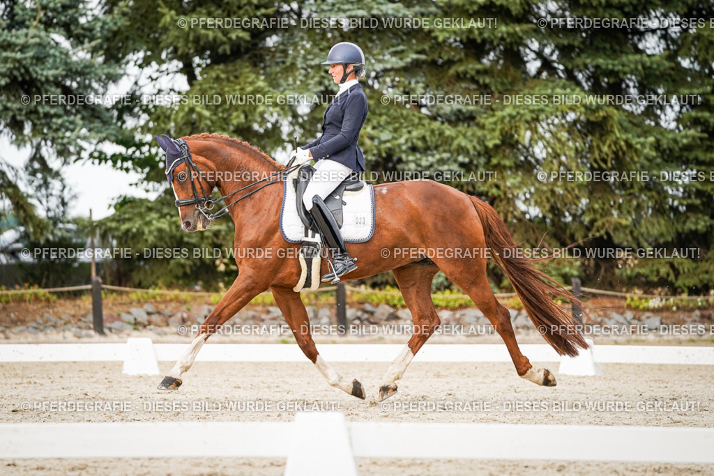 DSC09148 | Pferdegrafie