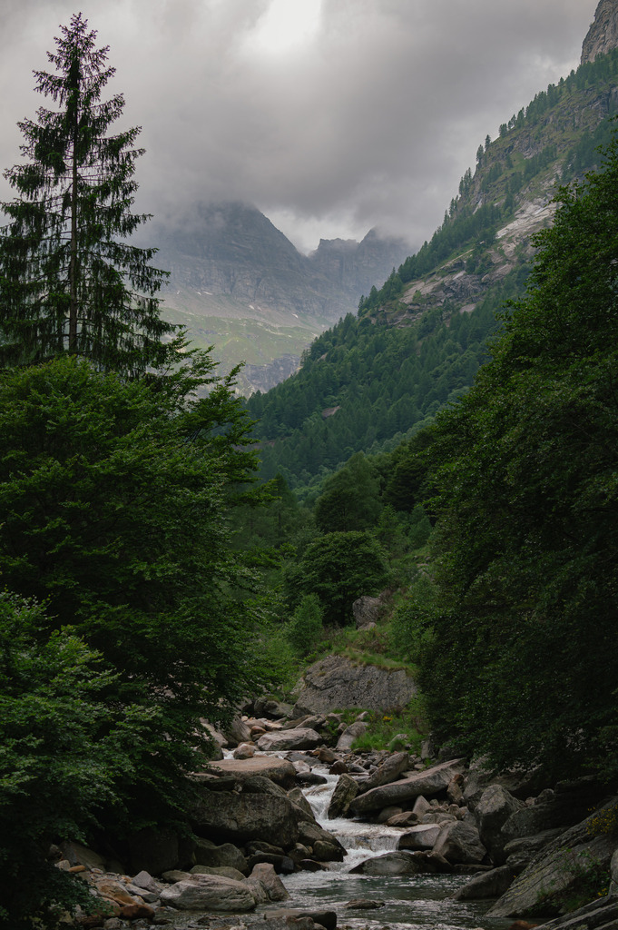 Lavertezzo Tag 1-30 | galerie_naturfotografie - Realisiert mit Pictrs.com