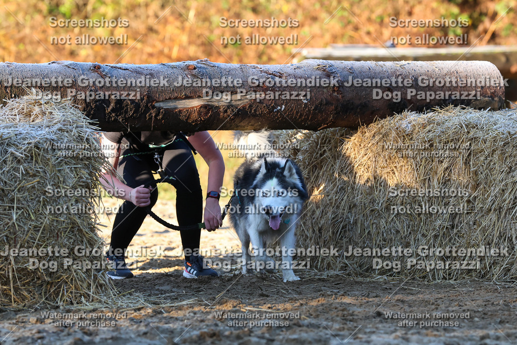 Dog Paparazzi - Strongdog 10-25-669 | Dog Paparazzi Jeanette Grottendiek Fotografie & Videografie - Realisiert mit Pictrs.com