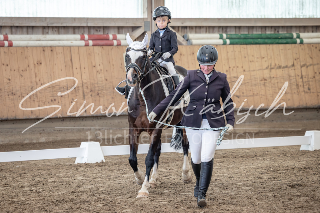 20251011-_3LI8987 | Tierfotografie Pferde, Hunde, Katzen, Haustiere.
Turnierfotografie Reitturniere, Reiten, Springreiten, Dressur in Hanau, dem Main-Kinzig-Kreis und dem Rhein-Main- Gebiet um Frankfurt