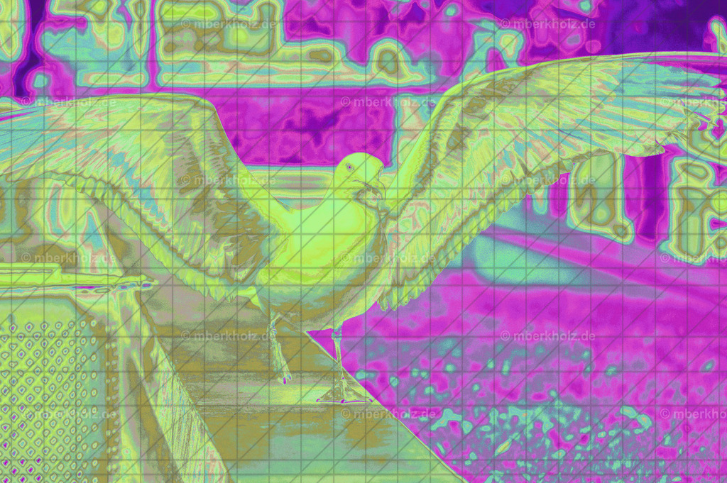 _MBE9493be Kopie | Bildkunst Warnemünde, Fotokunst Warnemünde, Fotostudio Rostock Warnemünde, Technologiecampus, Onlinedruckerei, Fotokunst Warnemünde, Ostseebad Warnemünde 