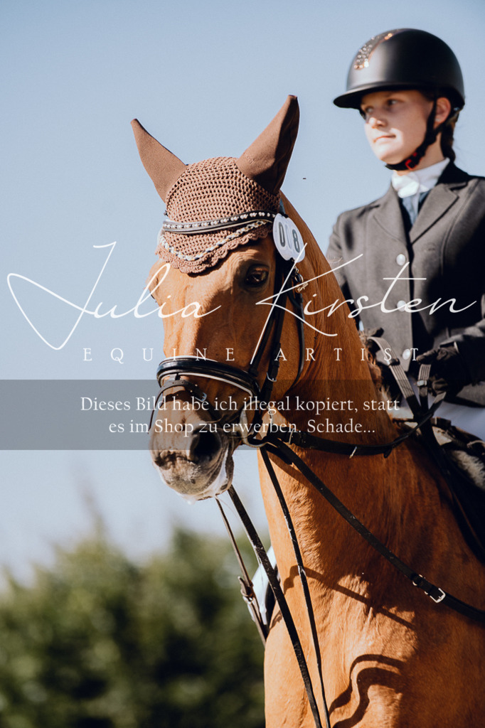 DSC_7274 | Pferde- und Turnierfotografie in Westsachsen. Pferdeportraits, Auftragszeichnungen und intuitive Kunst.