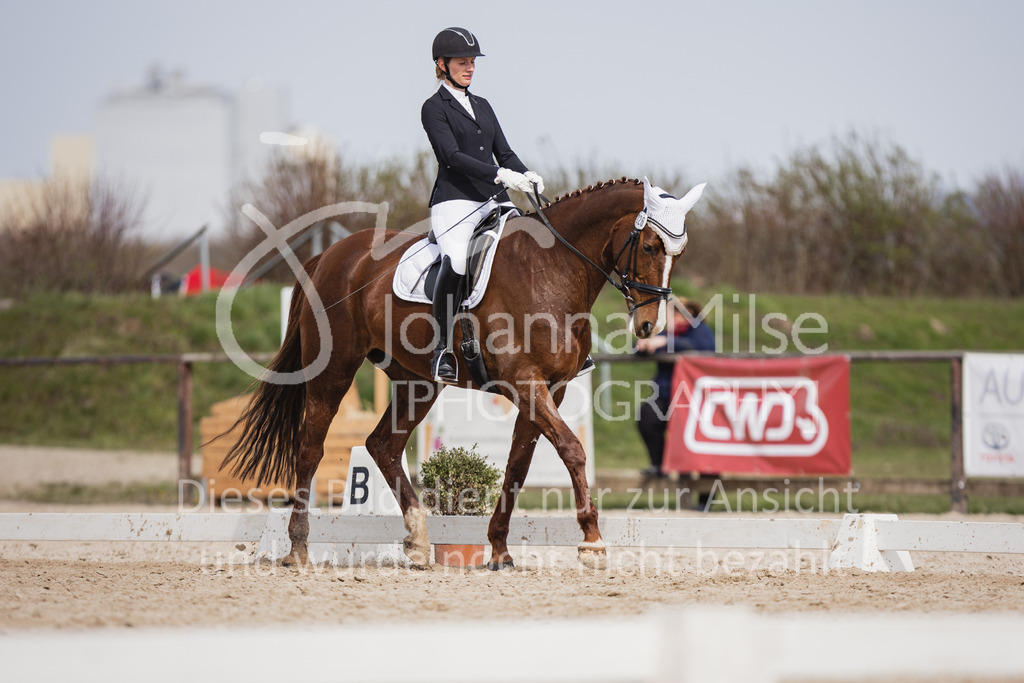 230410_Frühlingsfest_A-Dressur-505 | Deine schönsten Turniermomente als professionelle Fotos! Entdecke hochwertige Pferdesport-Fotografie im Online-Shop. Jetzt Fotos finden & bestellen!