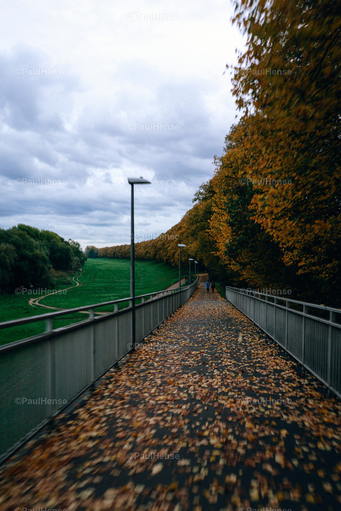 20221017_PaulHense_S0003_DSC00675 | paulhense - Realisiert mit Pictrs.com