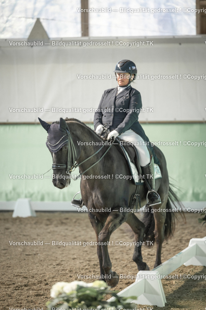 _D5A2013 | Emotionale Pferde- & People-Fotografie rund um Heidelberg, Leimen & Umgebung. Natürliche Fotos von Pferd, Mensch & Familie. Jetzt Termin sichern!