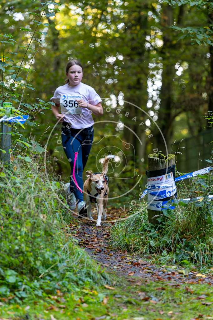 Pfotenfotografie_DV3A7748 | Hundefotografie, Tierfotograf, Pfotenfotografie, Fotoshooting Hund, Hunde Portrait, Hundesport, Hundeportraits, Heideshooting, Hunde, Sportfotograf, Hundefotograf, Turnierhundsport, THS,  - Realisiert mit Pictrs.com