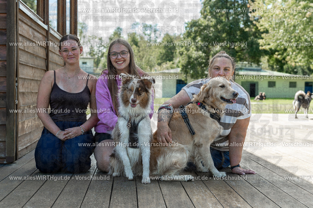 Hundeschwimmen_Volksbad_2026-allesWIRTHgut_Tierfotografie-2609061421-7R501040 | Professionelle Tierfotografie in Mönchengladbach von Daniel Wirth (allesWIRTHgut). Liebevolle & natürliche Bilder von Hunden & Katzen für unvergessliche Erinnerungen.