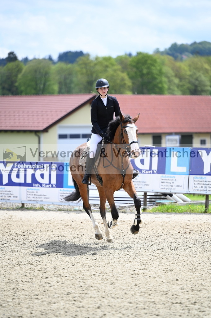 DSC_0805 | equestrian-live-com