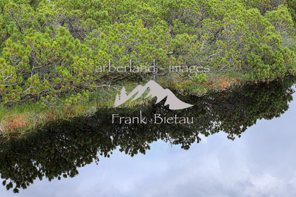 OE7A2566 | Zwieselter oder auch Zwieseler Filz