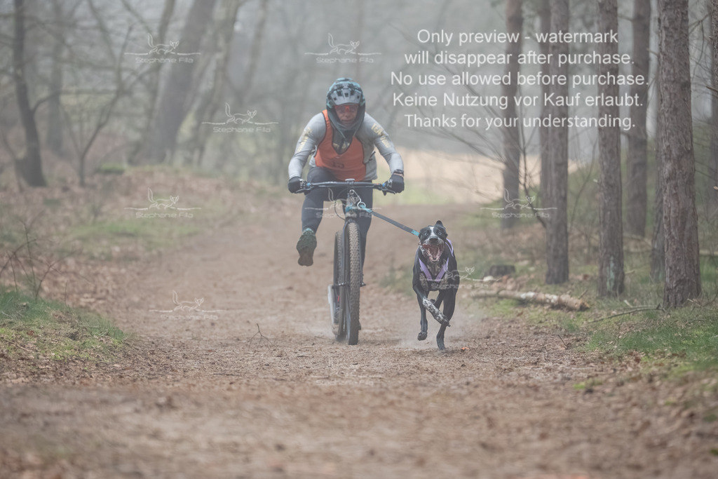 Scooter1-50 | stephaniefillaphotographie - Realisiert mit Pictrs.com