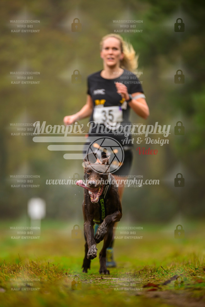 MompixPhotography_Bischwiller2025_Canicross-14 | mompixphotography