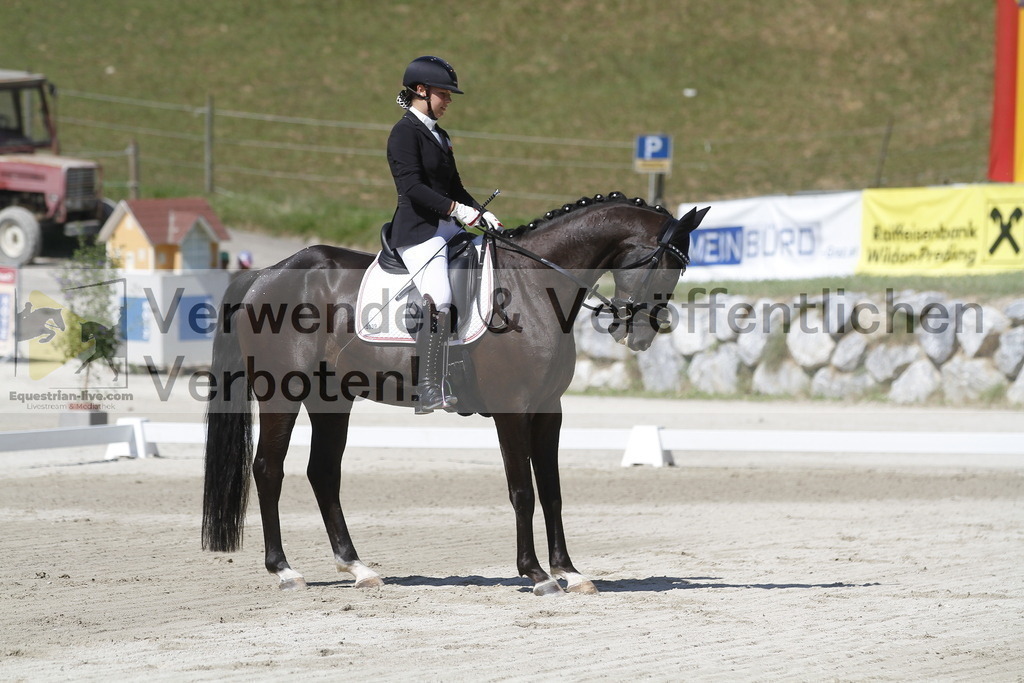 _MG_0330 | equestrian-live-com