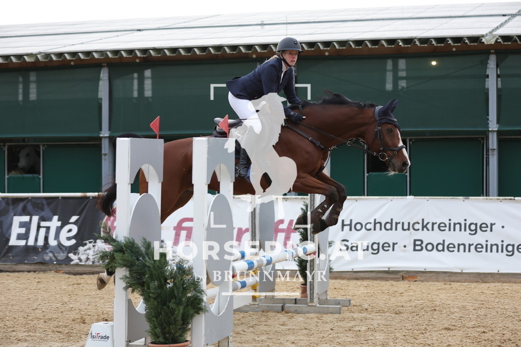 0P6A5084 | Willkommen bei Brunnmayr - Design & Fotografie – Ihrem Spezialisten für Reitturniere und Pferdeveranstaltungen in Oberösterreich, Salzburg und Bayern! Seit über 17 Jahren sind wir leidenschaftlich dabei.