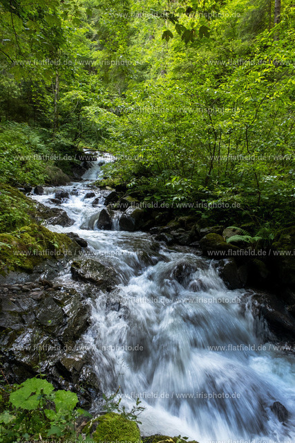 Wilde Schlucht | Landschaftsfoto aus Österreich
