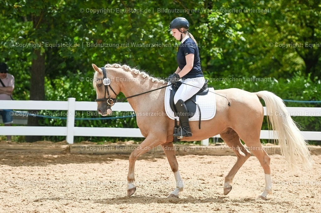 20230715_09_Dressur-WB_0508 | equistock