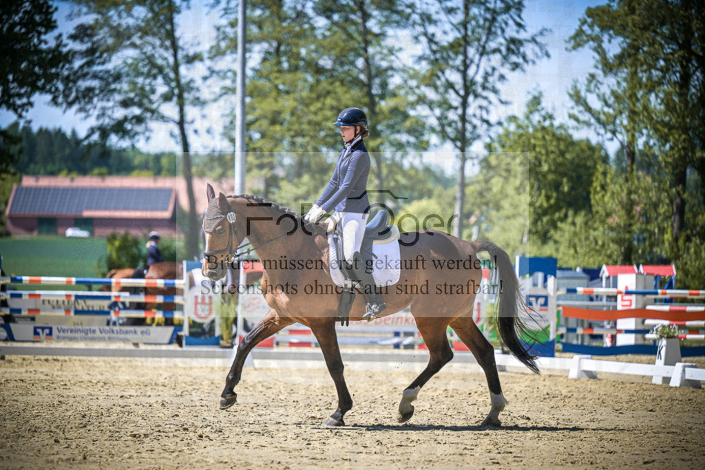DOS_9140 | Entdecke hochwertige Reitturnierfotos von Foto Oger. Professionell, emotional und authentisch – jetzt Lieblingsmomente im Shop bestellen.Deutschlandweite Turnierfotografie. - Realisiert mit Pictrs.com