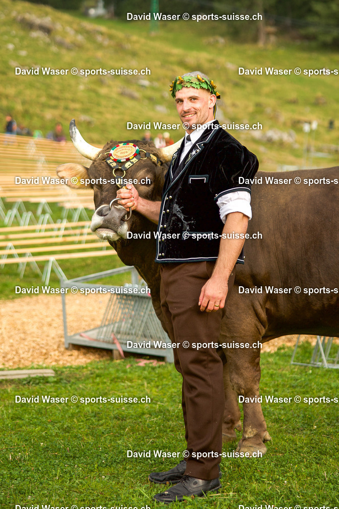 250817 Le vainqueur Giger Samuel ___ et son taureau London  _ la 25. Schwägalp-Schwinget AR_ 17.08.2025 _ www.sports-suisse.ch _ (5) | 250817 Le vainqueur Giger Samuel *** et son taureau London  à la 25. Schwägalp-Schwinget AR, 17.08.2025 " www.sports-suisse.ch "