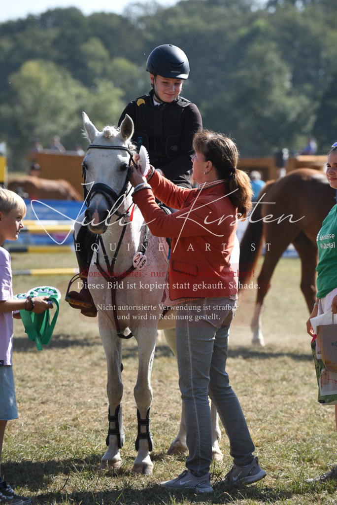 DSC_6170 | Pferde- und Turnierfotografie in Westsachsen. Pferdeportraits, Auftragszeichnungen und intuitive Kunst.