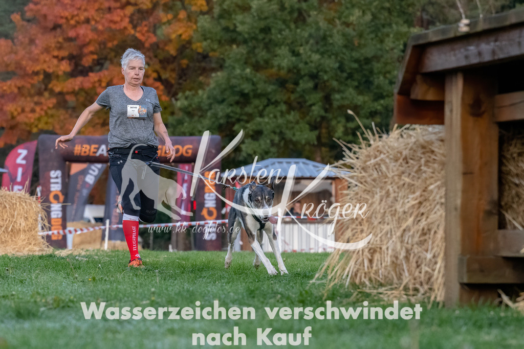 0811_ZZ94642-Bearbeitet | kk-dogfotos