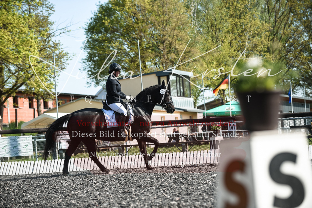 DSC_8633 | Pferde- und Turnierfotografie in Westsachsen. Pferdeportraits, Auftragszeichnungen und intuitive Kunst.