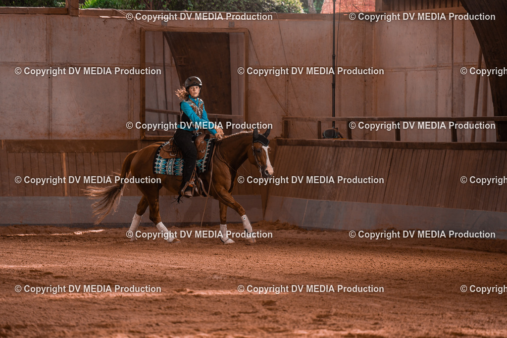 NE201143 | dv-media-shop - Realisiert mit Pictrs.com