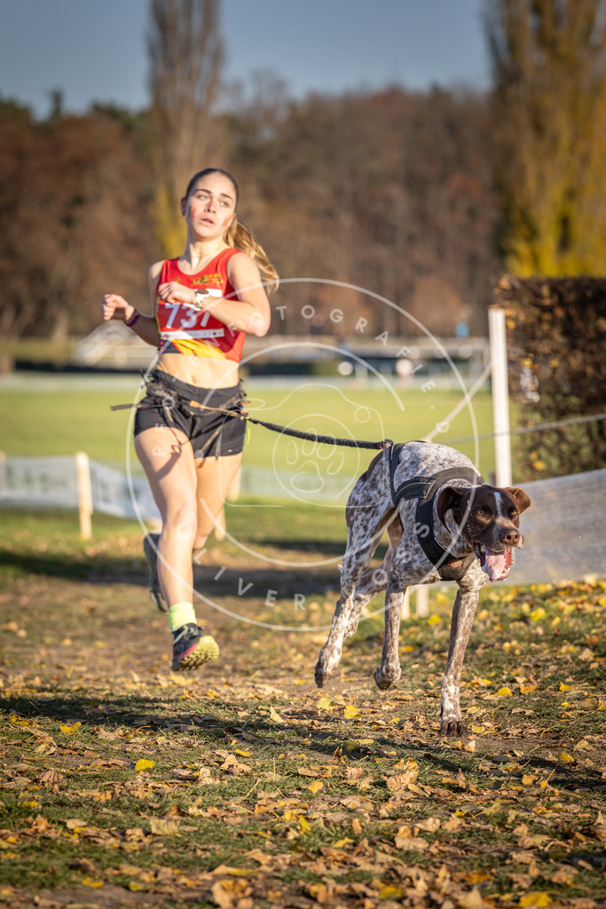 CaniXpix_DV3A2162 | Hundefotografie, Tierfotograf, Pfotenfotografie, Fotoshooting Hund, Hunde Portrait, Hundesport, Hundeportraits, Heideshooting, Hunde, Sportfotograf, Hundefotograf, Turnierhundsport, THS,  - Realisiert mit Pictrs.com