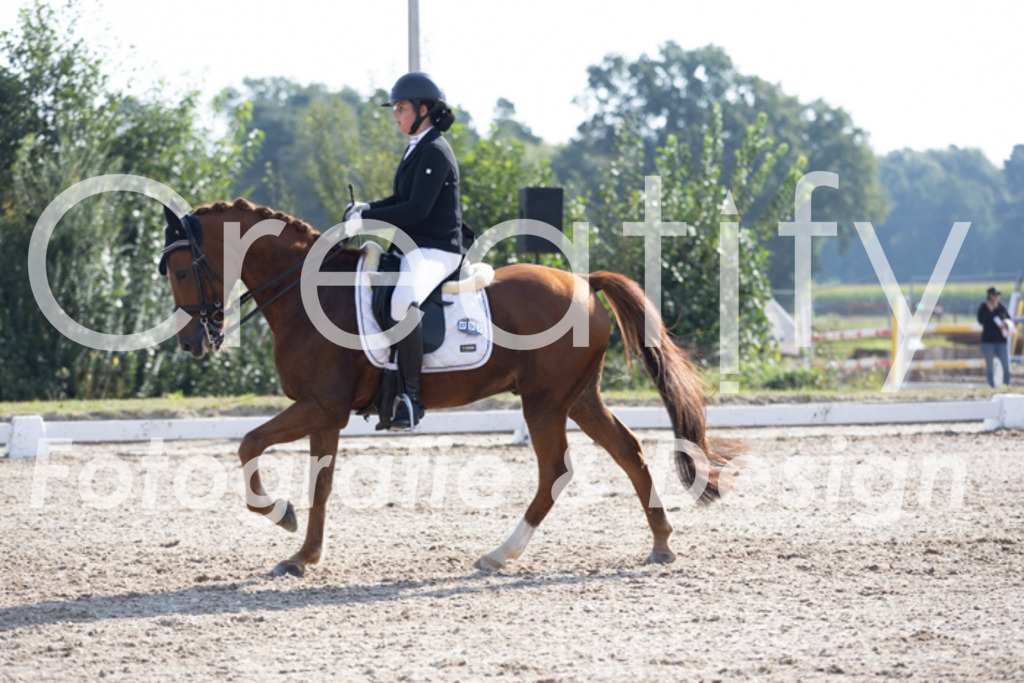 IMG_2490 | Creatify Fotografie