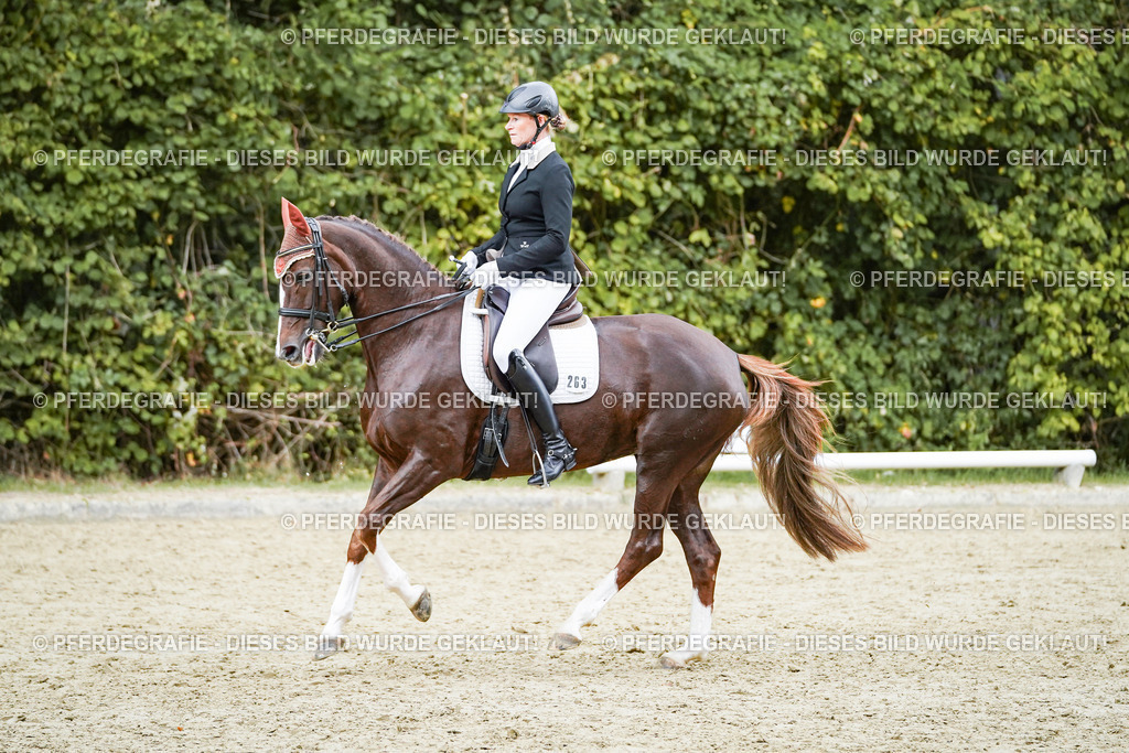 DSC06689 | Pferdegrafie