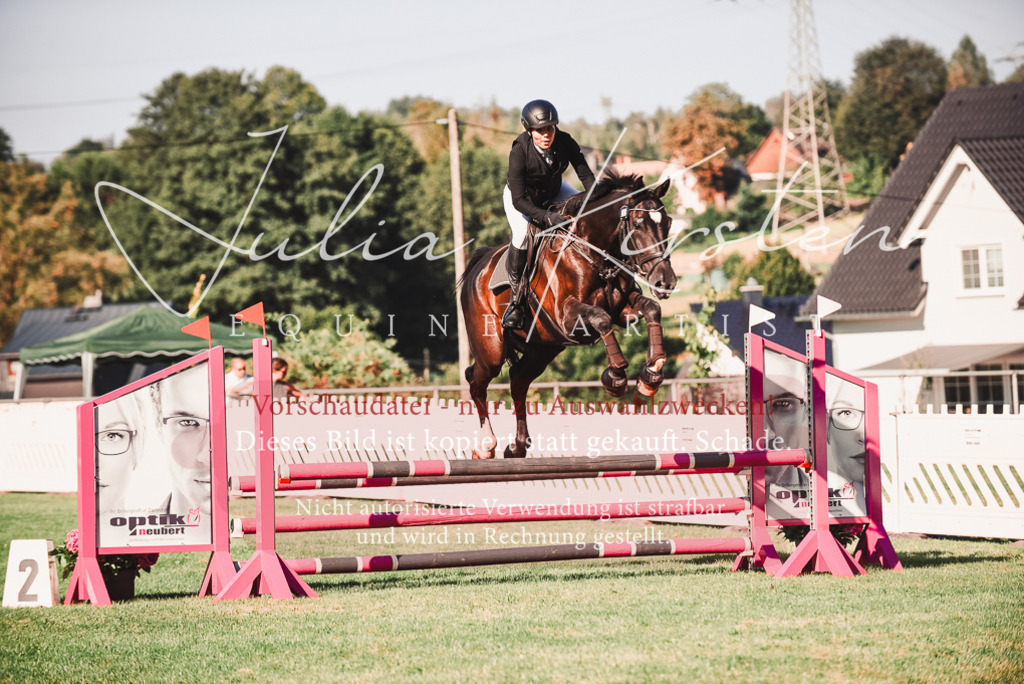 DSC_2254 | Pferde- und Turnierfotografie in Westsachsen. Pferdeportraits, Auftragszeichnungen und intuitive Kunst.