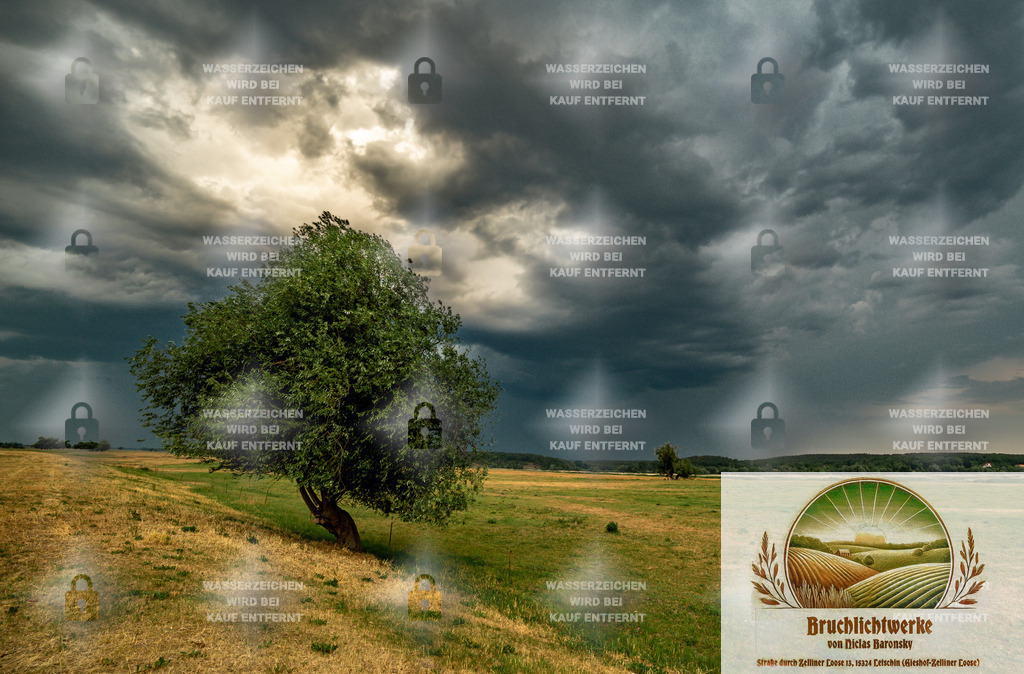 Heiligenschein | Professioneller Fotograf mit 10 Jahren Erfahrung. Landschafts- und Hochzeitsfotografie im Oderbruch. Workshops und beeindruckende Bilder für besondere Momente.