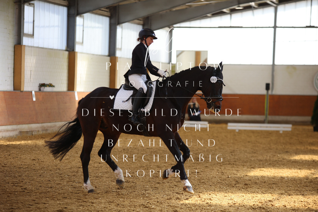 IMGT4547 | pl-fotografie