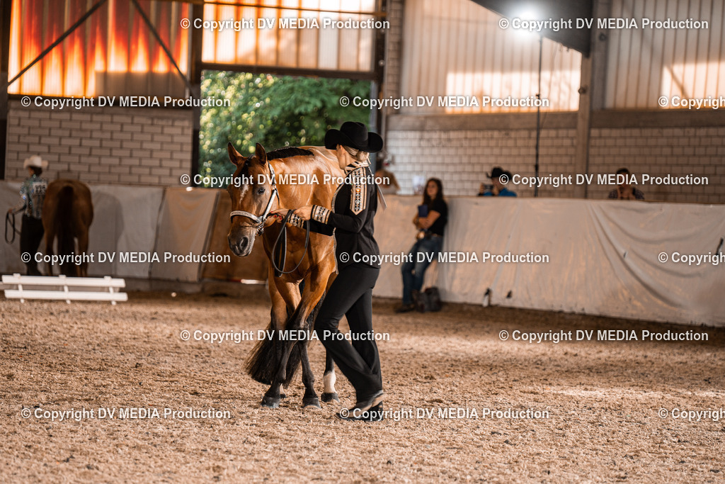 ZH100152 | dv-media-shop - Realisiert mit Pictrs.com