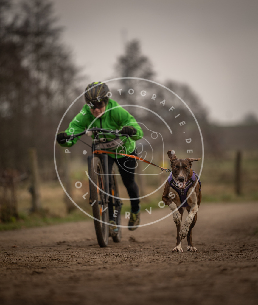 Pfotenfotografie_DV3A4049 | Hundefotografie, Tierfotograf, Pfotenfotografie, Fotoshooting Hund, Hunde Portrait, Hundesport, Hundeportraits, Heideshooting, Hunde, Sportfotograf, Hundefotograf, Turnierhundsport, THS,  - Realisiert mit Pictrs.com
