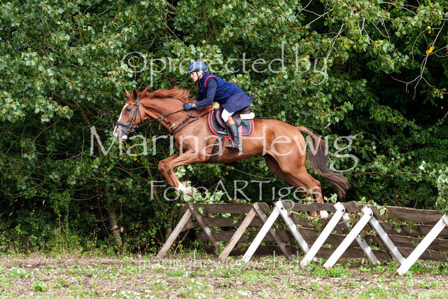 Jagd Perdoel 26 Sony-03639_MarinaHewig | Fotografie, FotoArt, PferdesportArt, Pferdesportfotografie, Landschaftsfotografie, Reisefotografie, Reise, Pferde - Realisiert mit Pictrs.com