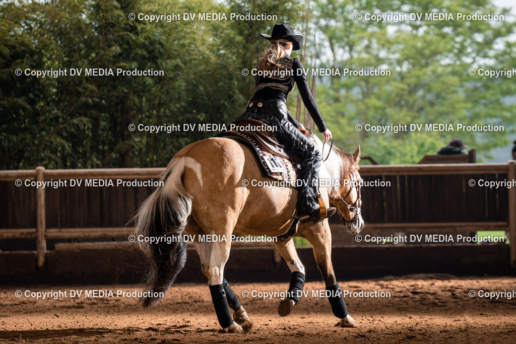 Erbach Tag 2-970 | dv-media-shop - Realisiert mit Pictrs.com