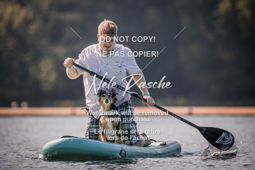 BUHU_SUP_234 | nelerasche