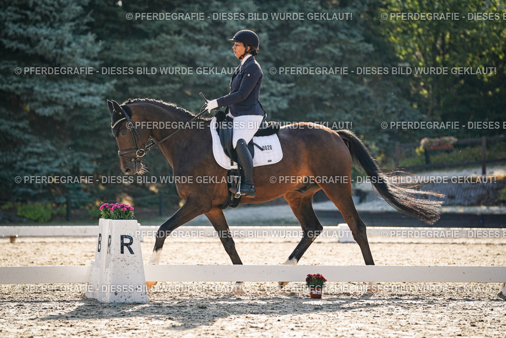 DSC08474 | Pferdegrafie