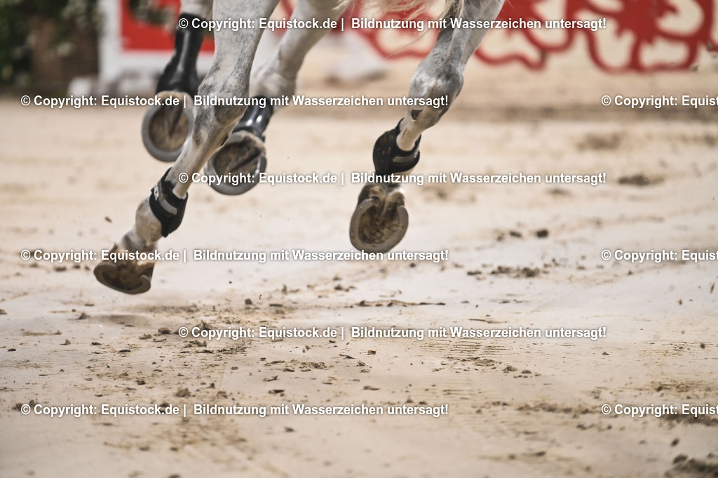 20241115_Preis der Outletcity Metzingen_TOMsPiC_0154 | Foto: Thomas Hartig