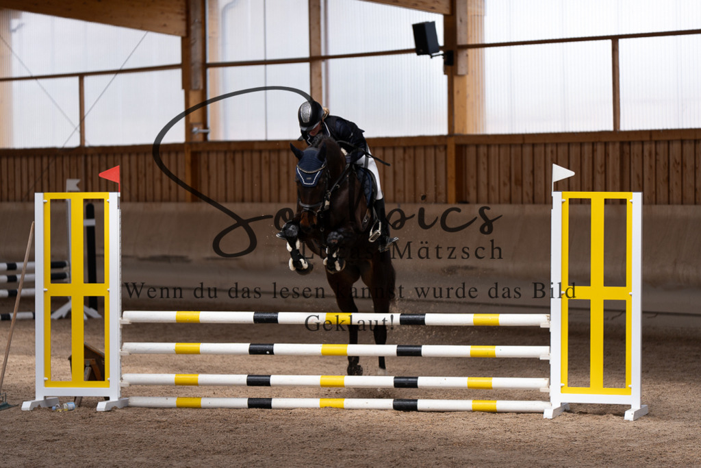 A7507492 | Pferdefotograf