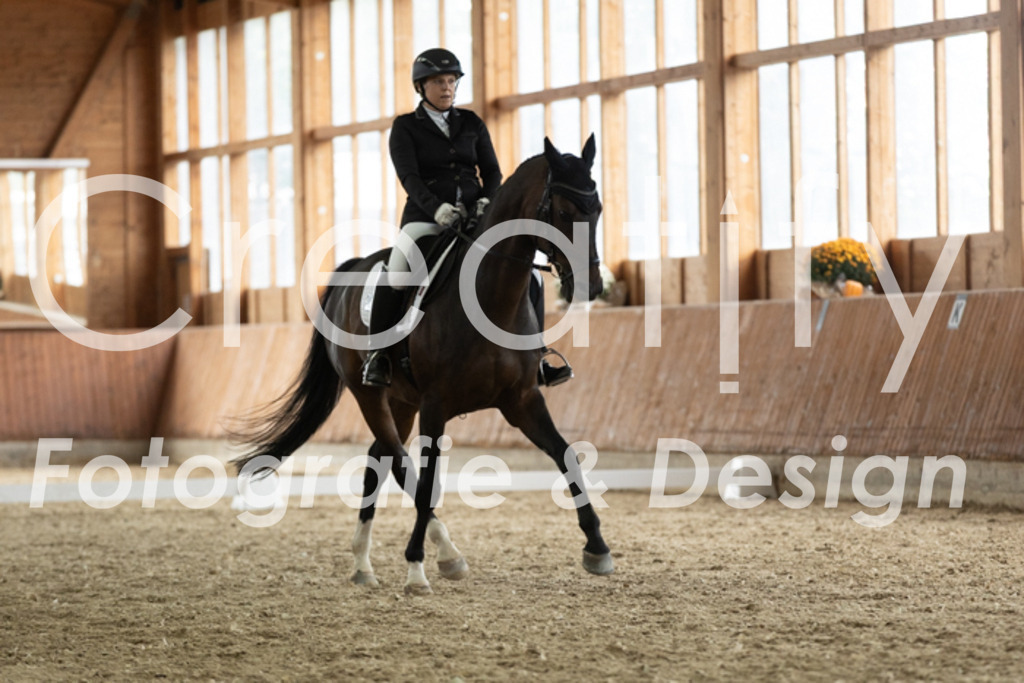 IMG_3173 | Creatify Fotografie