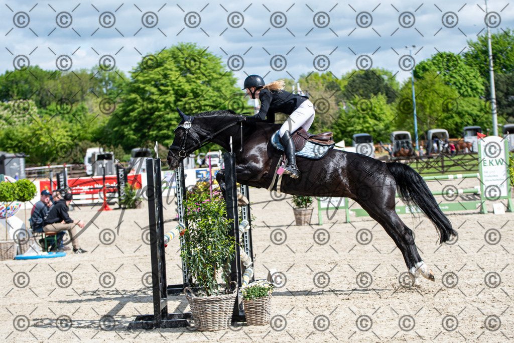 KPT_4941 | andre_photographic