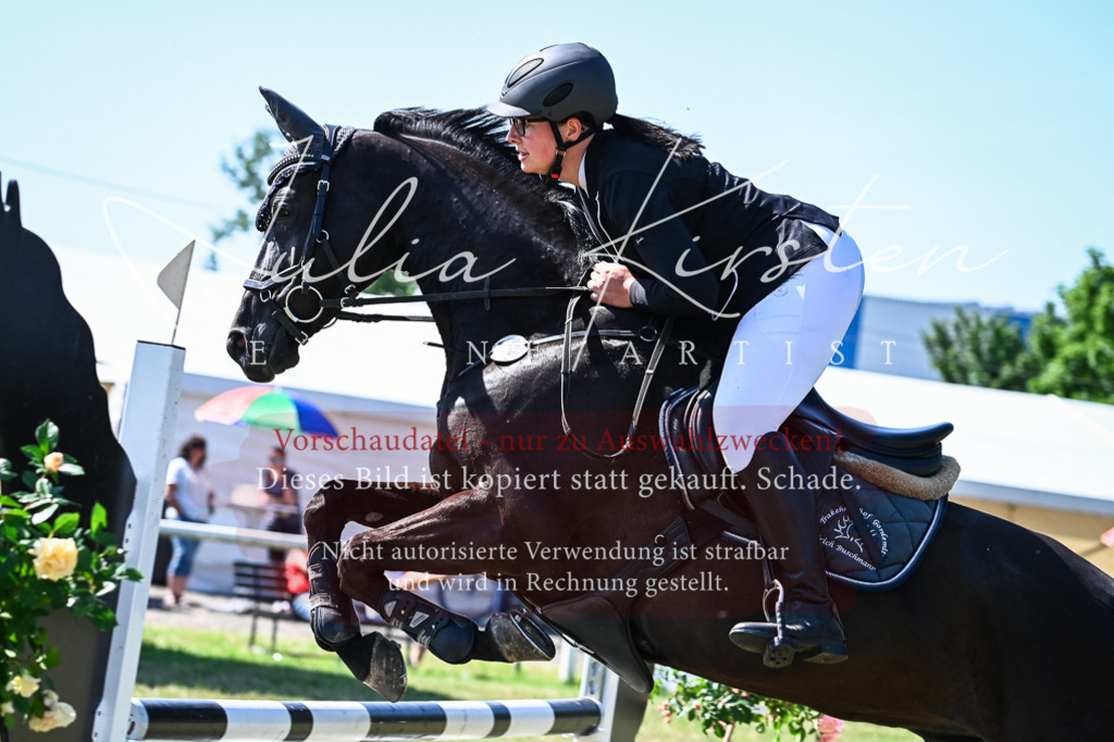 DSC_1634 | Pferde- und Turnierfotografie in Westsachsen. Pferdeportraits, Auftragszeichnungen und intuitive Kunst.