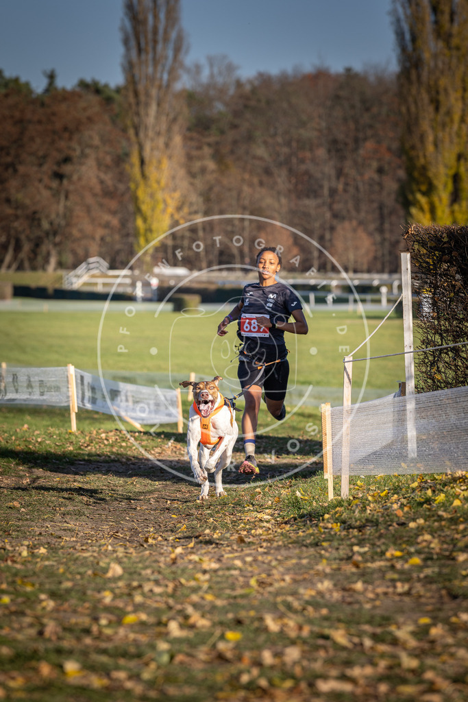 CaniXpix_DV3A1229 | Hundefotografie, Tierfotograf, Pfotenfotografie, Fotoshooting Hund, Hunde Portrait, Hundesport, Hundeportraits, Heideshooting, Hunde, Sportfotograf, Hundefotograf, Turnierhundsport, THS,  - Realisiert mit Pictrs.com