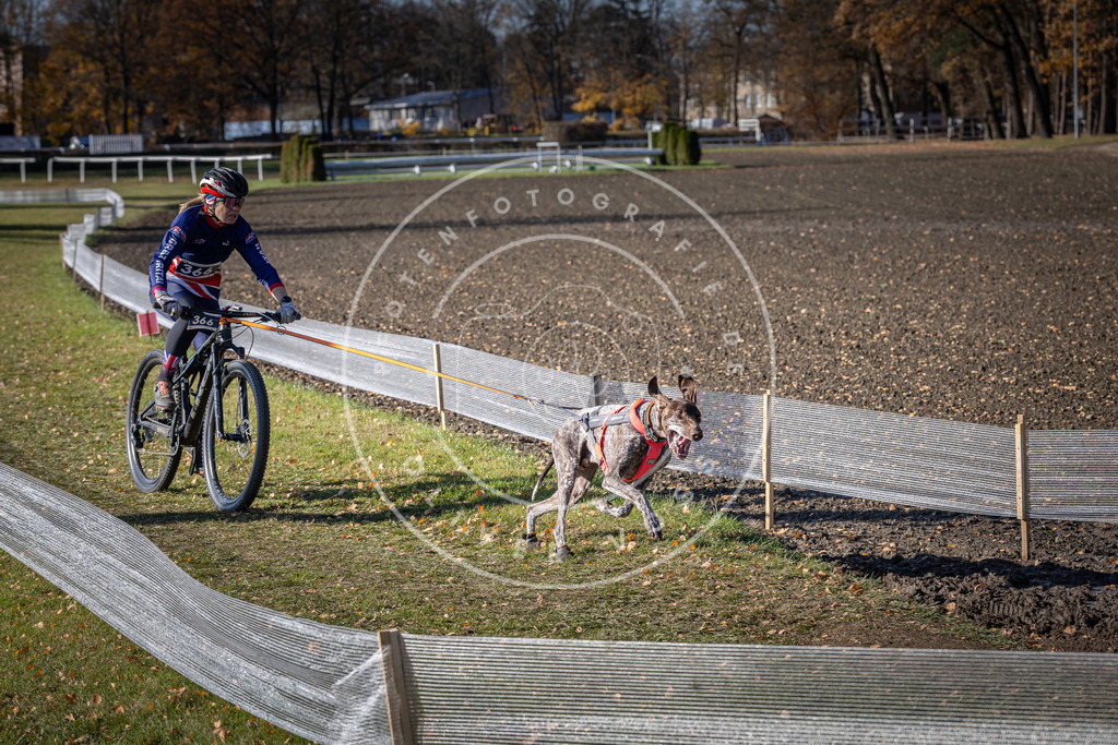 CaniXpix_DV3A7551 | Hundefotografie, Tierfotograf, Pfotenfotografie, Fotoshooting Hund, Hunde Portrait, Hundesport, Hundeportraits, Heideshooting, Hunde, Sportfotograf, Hundefotograf, Turnierhundsport, THS,  - Realisiert mit Pictrs.com